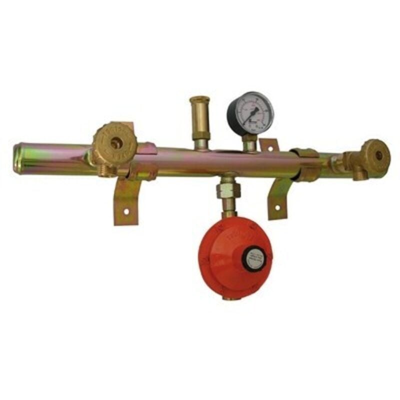 foto del prodotto centralina gas 2 elementi con attacco centrale kg. h 4