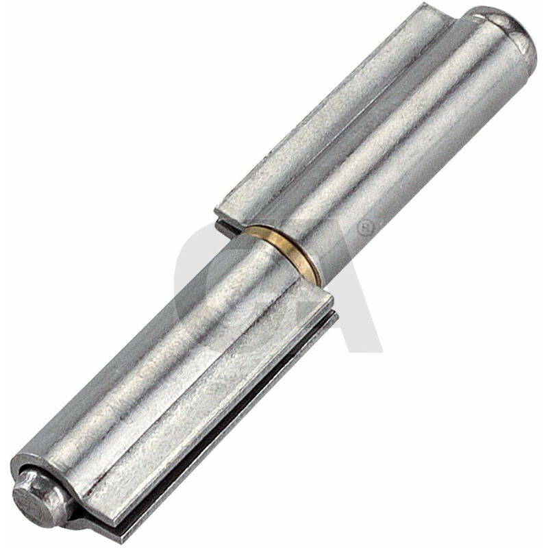 foto del prodotto cerniera 2 ali inox mm.80