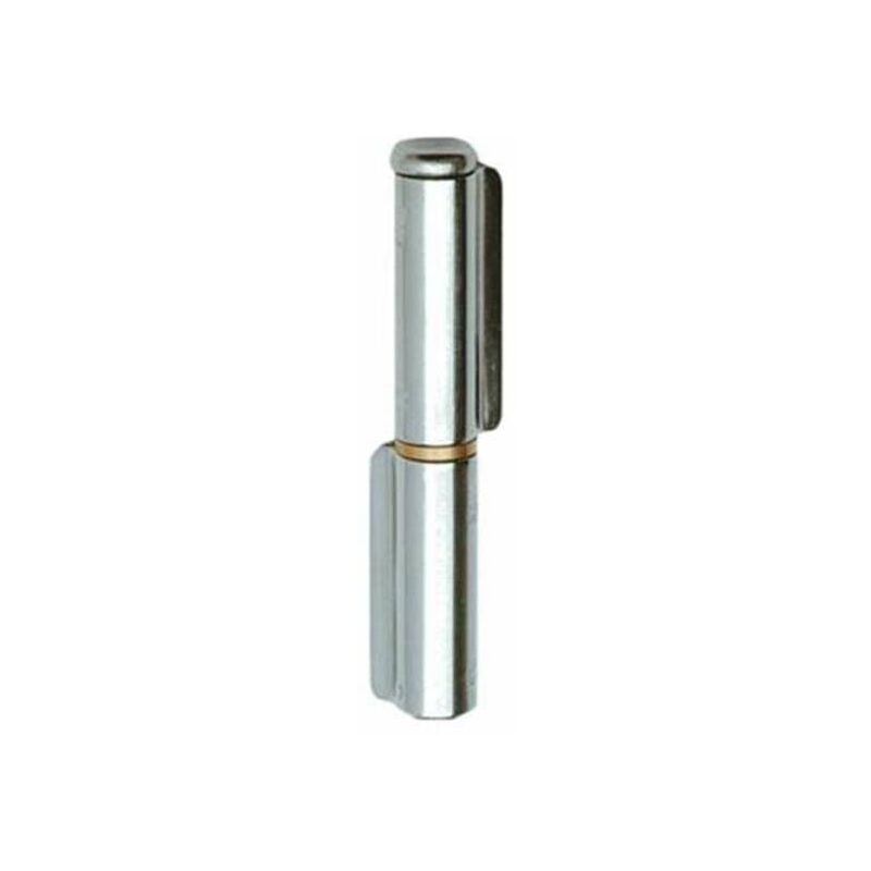 foto del prodotto cerniera 2 ali saldare inox 120x 21