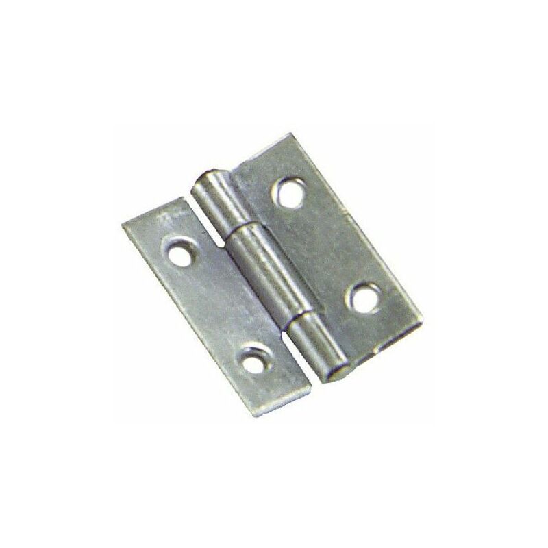 foto del prodotto cerniera 5005 zincata 1 