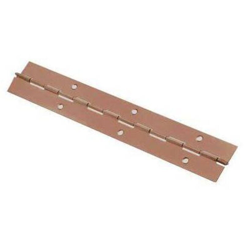 foto del prodotto cerniera a nastro 215 valtoce acciaio bronzato s.mm 0,7 mm 40 h.mm 2040