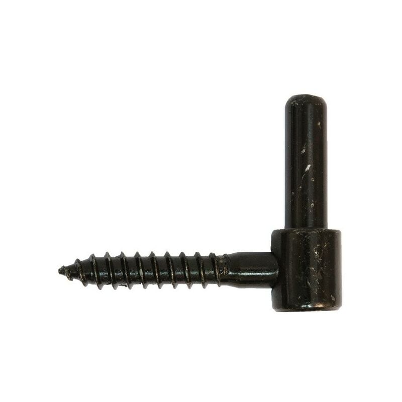 foto del prodotto cerniera a vite torbel 14 mm nero p35503114
