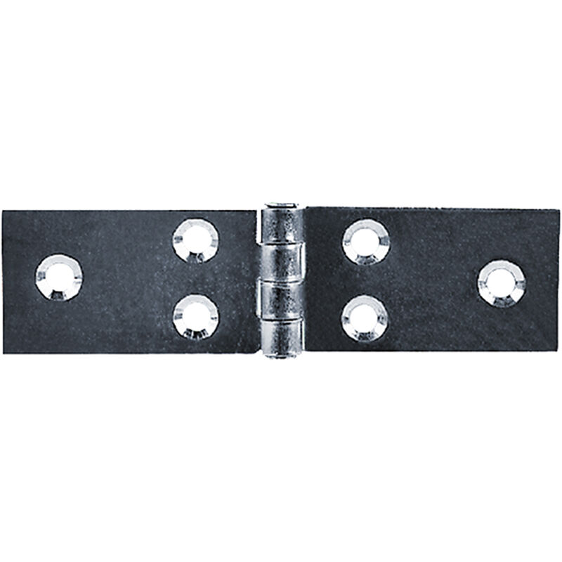 foto del prodotto cerniera ali lunghe art.122 mm 31 x 160 pz. 2