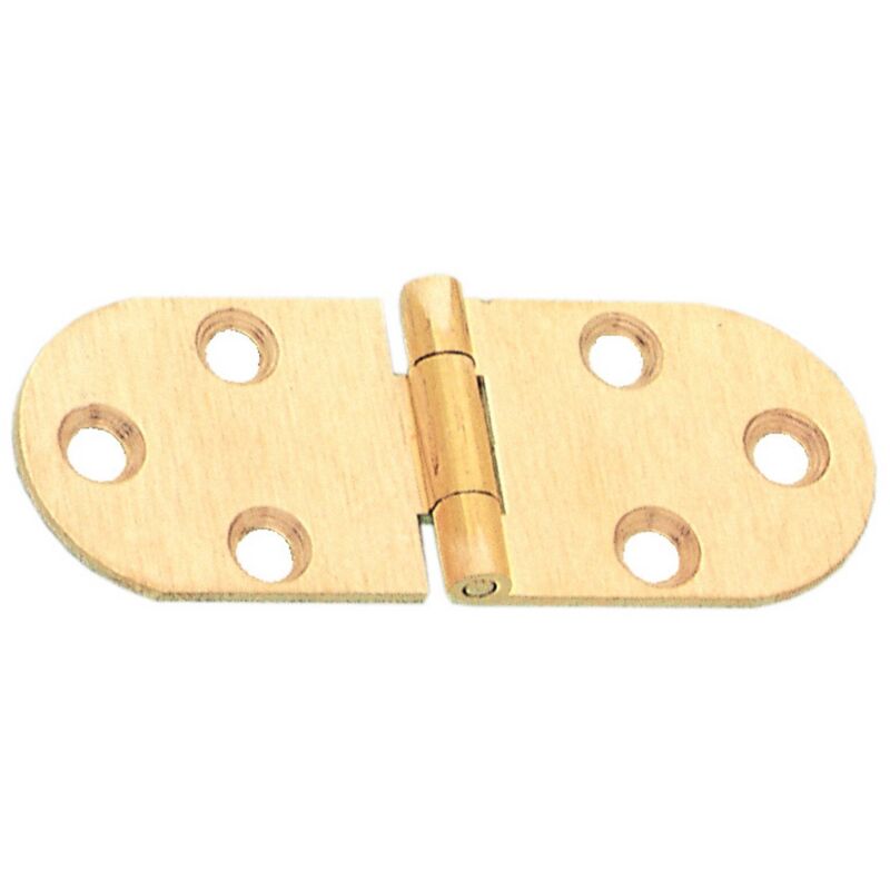 foto del prodotto cerniera biscotto s/fermo ottone s.