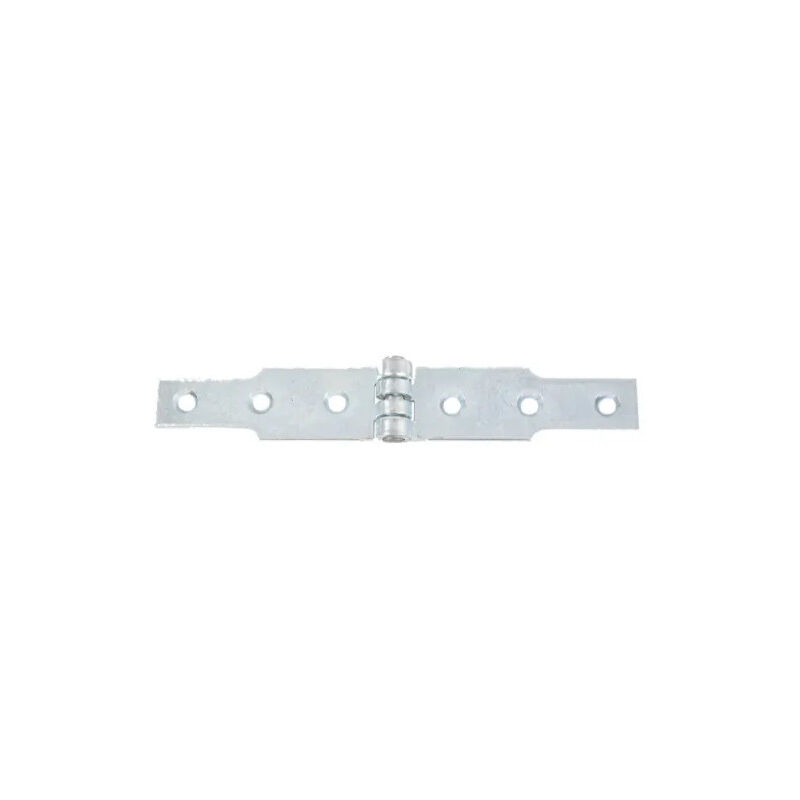 foto del prodotto cerniera congealed, 40 x 3 mm, 2 x l.120 mm, zincato bianco