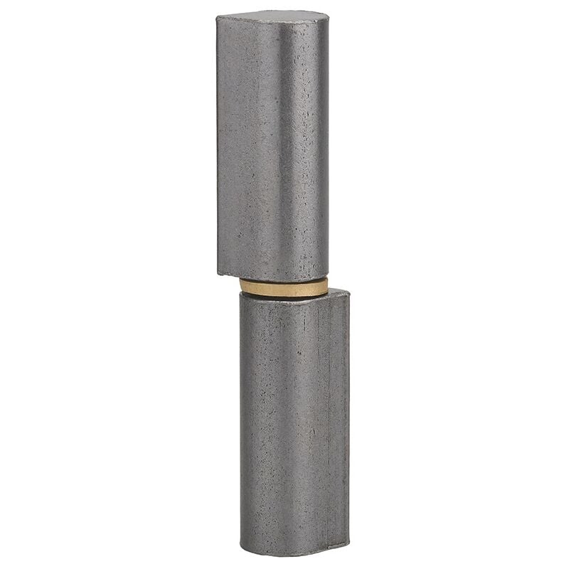 foto del prodotto cerniera da saldare per porta in metallo, acciaio inox, 140mm, collare in ottone thirard