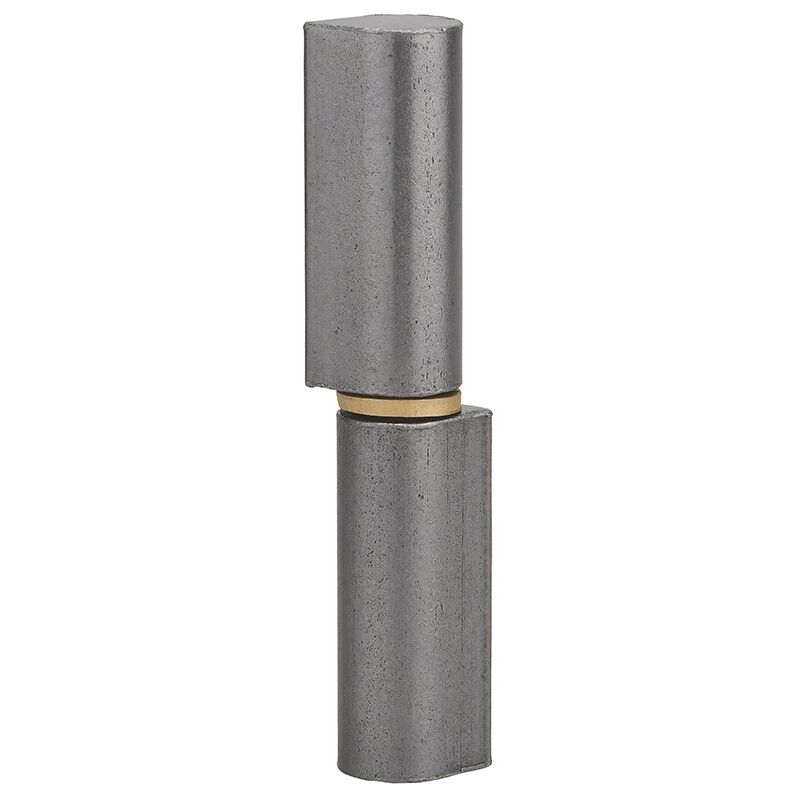 foto del prodotto cerniera da saldare per porta in metallo, acciaio inox, 160mm, collare in ottone thirard