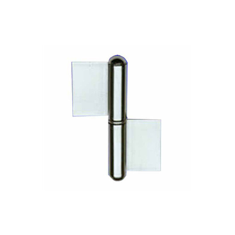 foto del prodotto cerniera ficcia 2 ali inox 102x 80 dx 1222 al