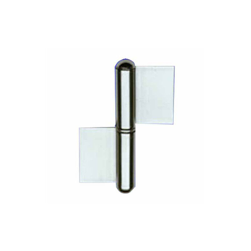 foto del prodotto cerniera ficcia 2 ali inox 62x 56,0 sx 1222 al