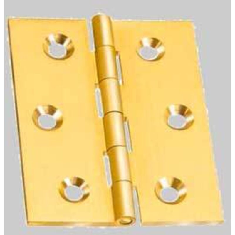 foto del prodotto cerniera fresata piana 40x40 mm - lucido conf. da 24 pz