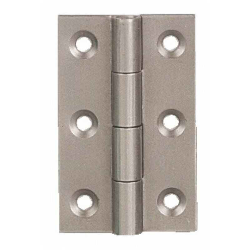 foto del prodotto cerniera in acciaio 60x35mm 2 pezzi con viti