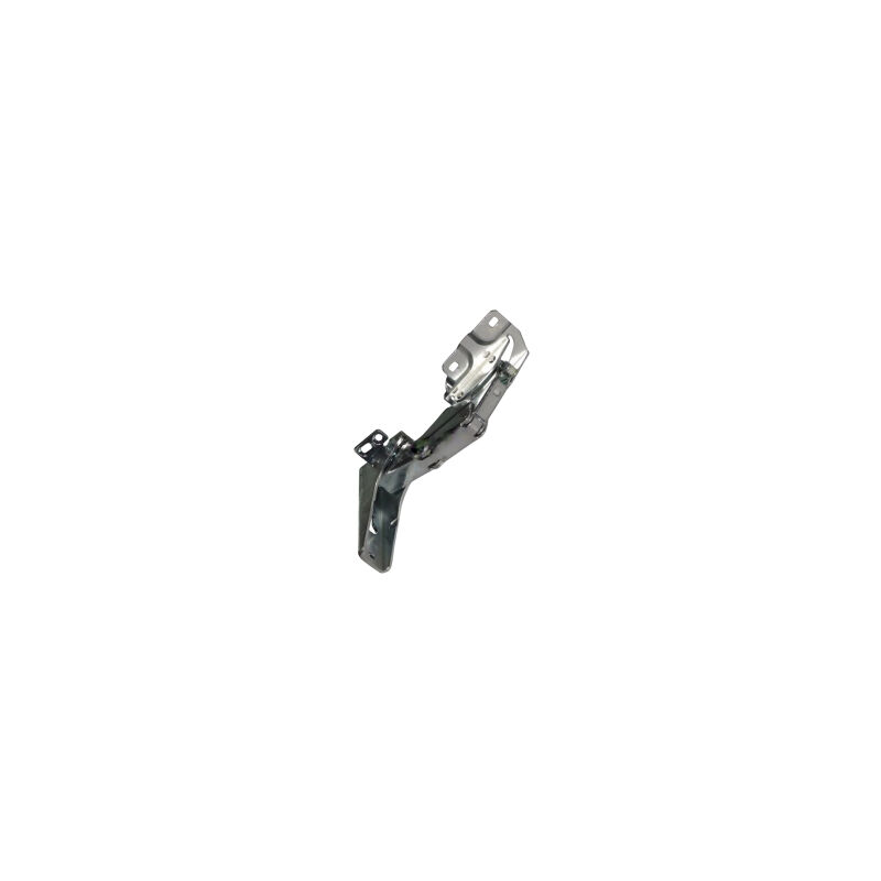 foto del prodotto cerniera inferiore originale frigorifero, congelatore electrolux 43563363662734860274