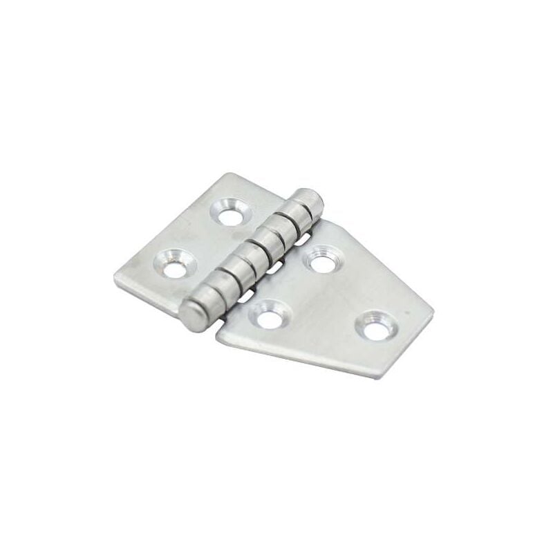 foto del prodotto cerniera inox asimmetriche mm.55x40
