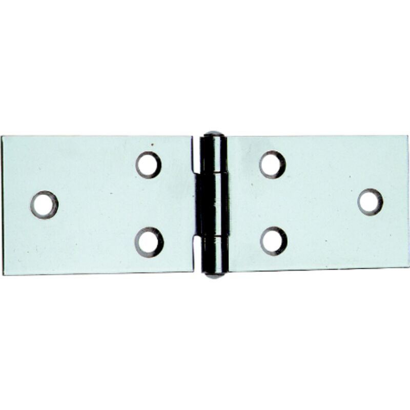 foto del prodotto cerniera inox lunga 122in 3.1 4 mm.80x31. prezzo per 1 pezzo.