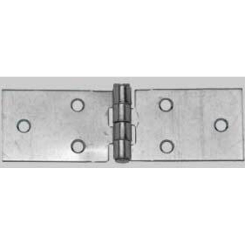 foto del prodotto cerniera inox lunga 80x30 mm conf. da 24 pz