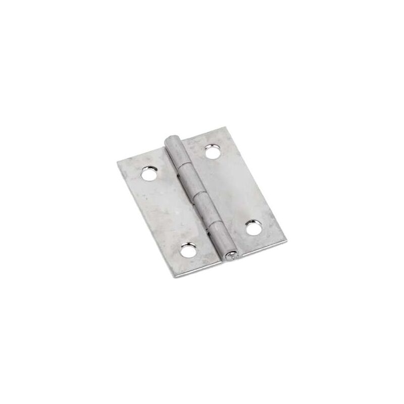 foto del prodotto cerniera inox mm.50x31