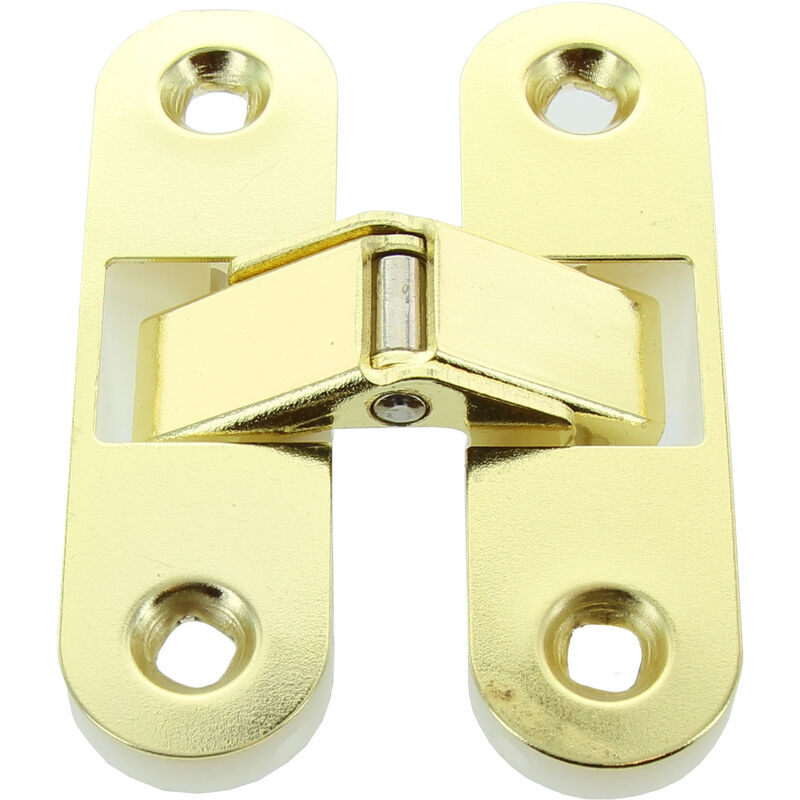 foto del prodotto cerniera invisibile per porte ottonate. prezzo per 1 pezzo.