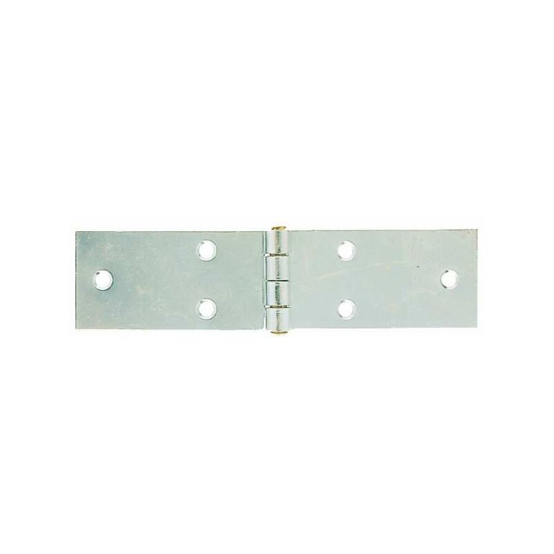 foto del prodotto cerniera lunga spina fissa zn 25x 80