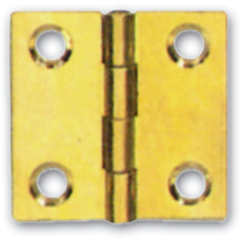 foto del prodotto cerniera mobili ala piana ottone fresato 50x40mm