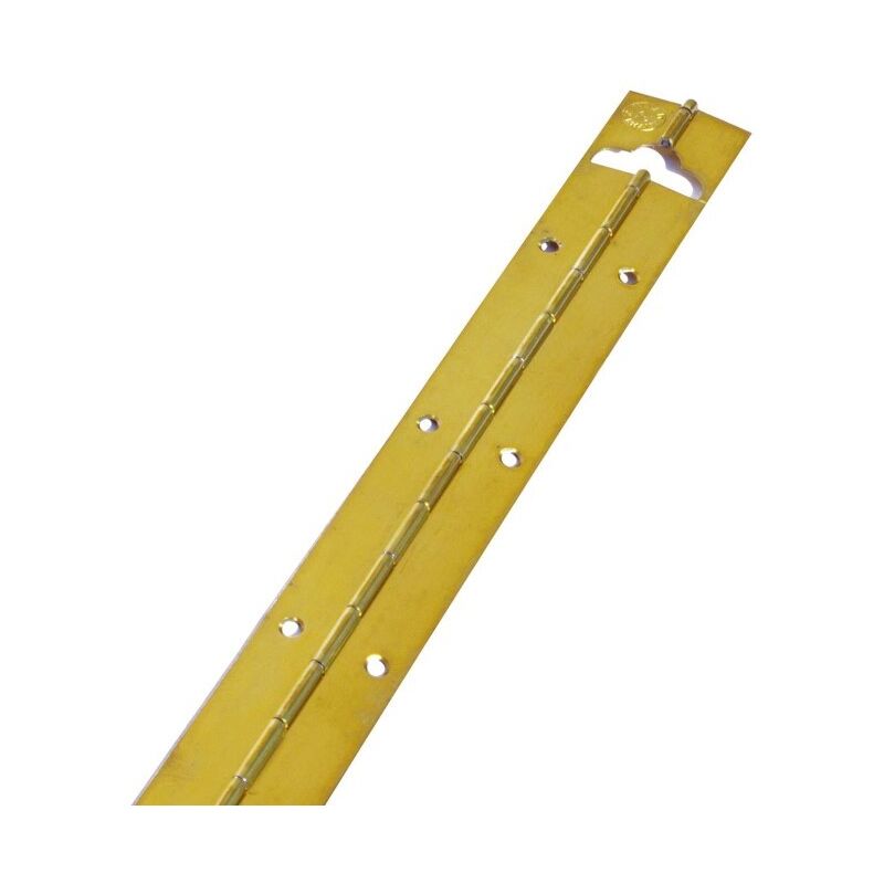 foto del prodotto cerniera ottonata a mt mm 1200x20 pezzi 1 masidef