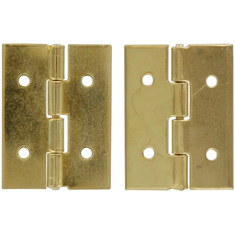 foto del prodotto cerniera ottonata mm.20x13 (h x l)