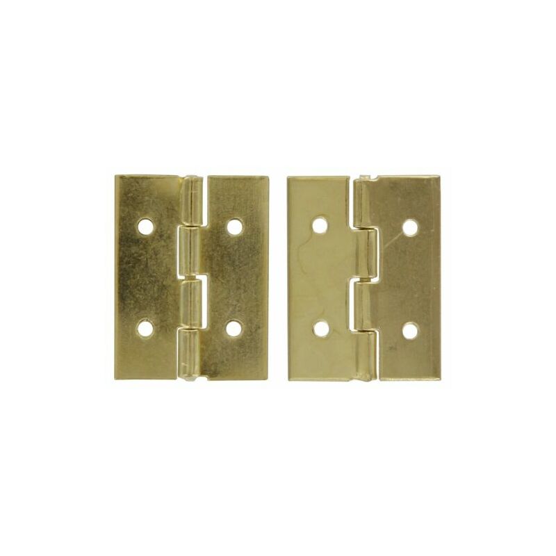 foto del prodotto cerniera ottonata mm.25x15 (h x l)