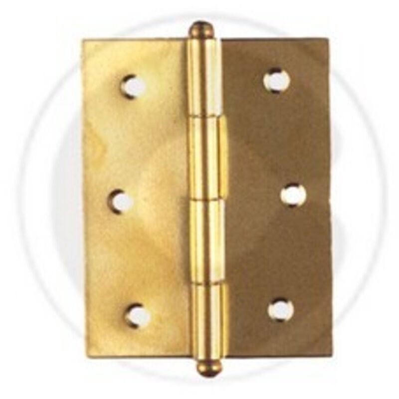foto del prodotto cerniera ottonata mm.40x35