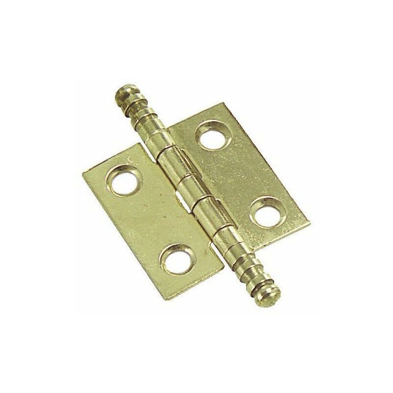 foto del prodotto cerniera ottone 207 35x30 mm.