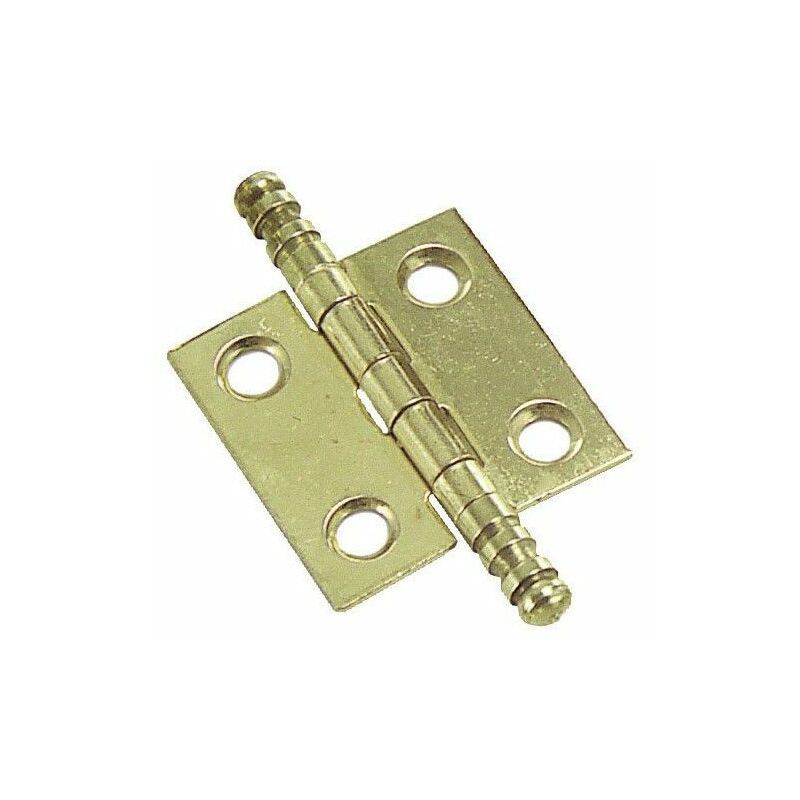 foto del prodotto cerniera ottone 207 70x40 mm.