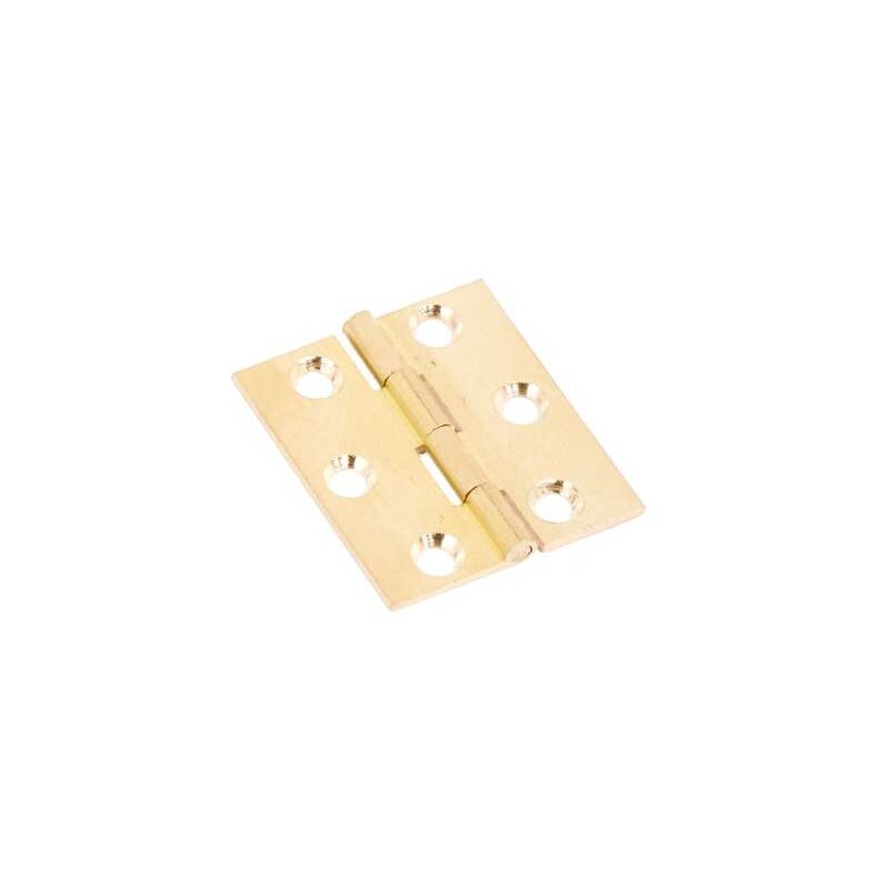 foto del prodotto cerniera ottone piana mm.50x40