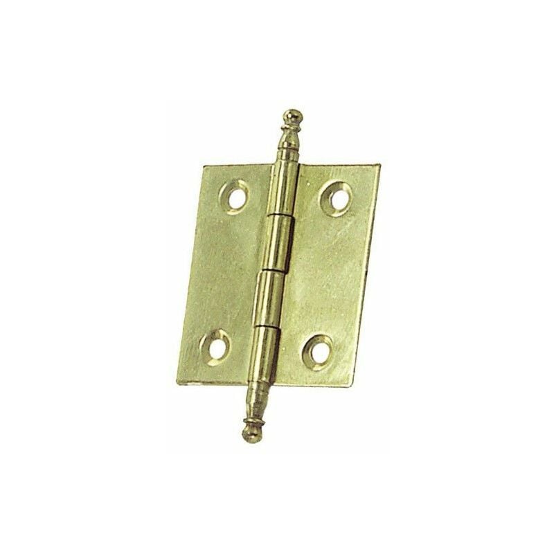 foto del prodotto cerniera ottone smontabile 210 60x40