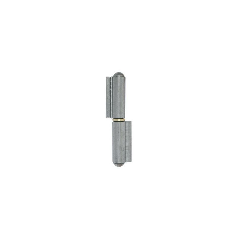 foto del prodotto cerniera per cancello arrotolata lama corta 100x8 torbel anello in ottone grlc1080