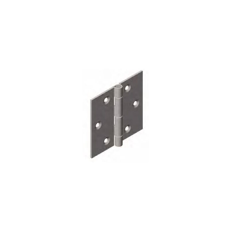 foto del prodotto cerniera per carichi pesanti 1004 monin in acciaio decapato 60 x 60 mm 424330