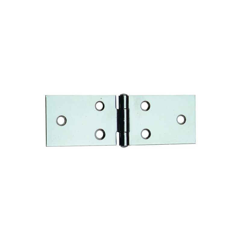 foto del prodotto cerniera perno fisso 122 in inox 3.1 4 31x80 mm 12 pz