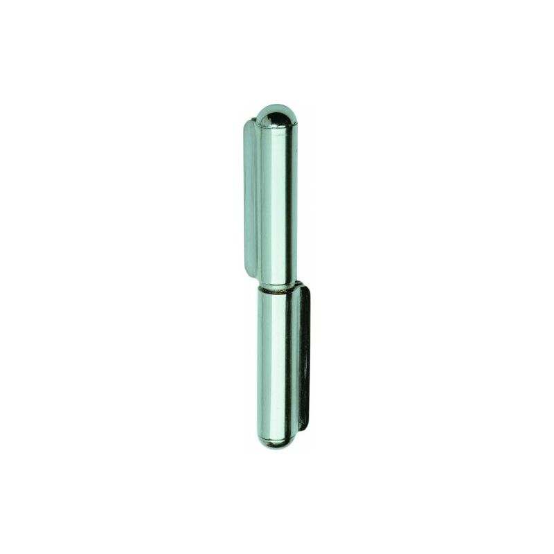 foto del prodotto cerniera perno fisso 1223 in inox a saldare 80 mm 5 pz