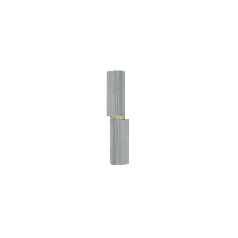 foto del prodotto cerniera saldata con collare in ottone 120 mm 107