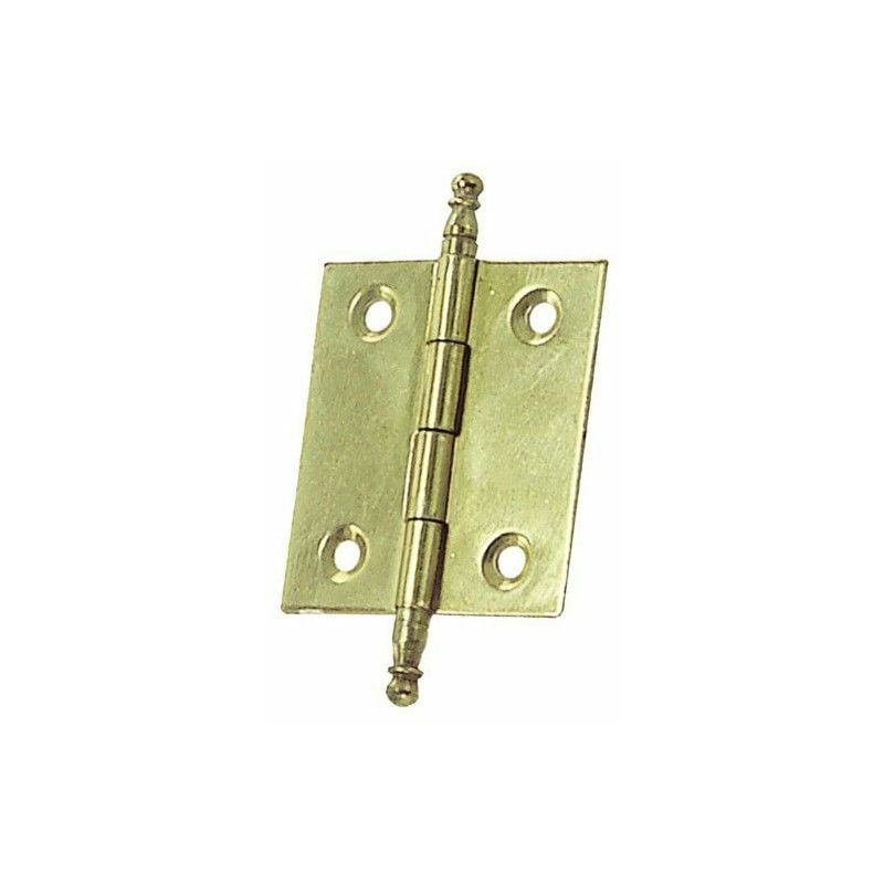 foto del prodotto cerniera smontabile ottone 210 40x35