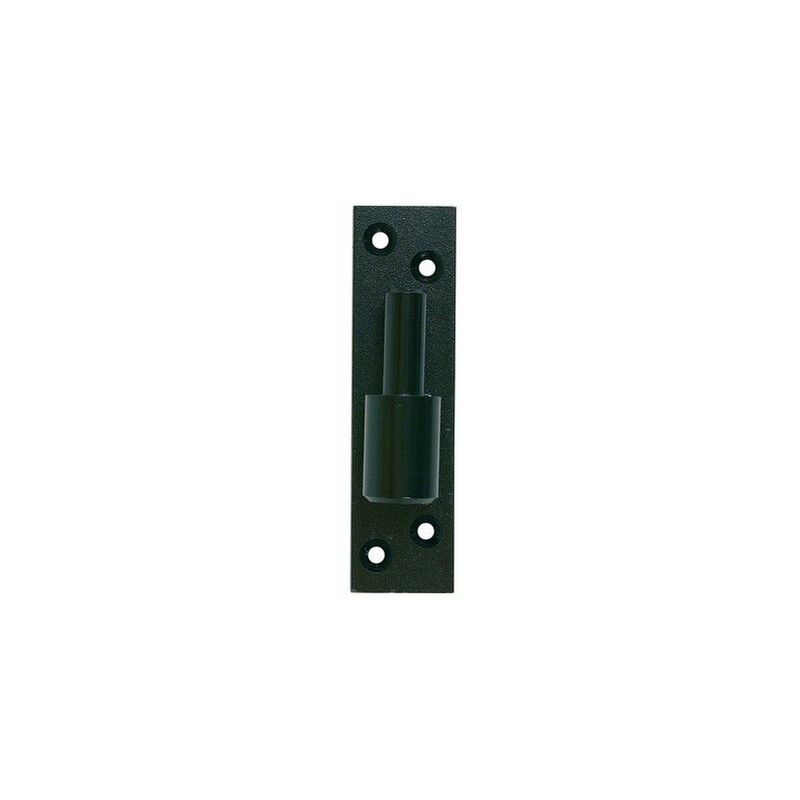foto del prodotto cerniera su piastra di cataforesi nera fissi ing 14 mm ferro 50x6 a000895