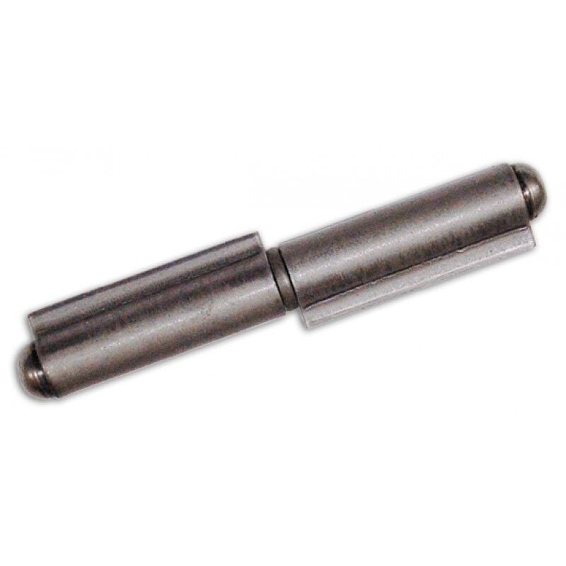 foto del prodotto cerniera x cancelli a tappo fc420 80mm