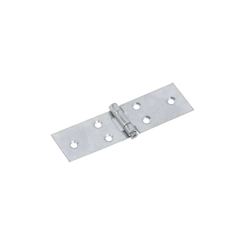 foto del prodotto cerniera zincata lunga mm.80