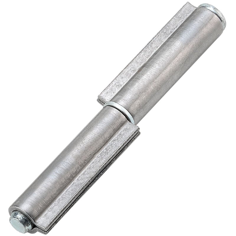 foto del prodotto cerniere 2 ali mm.100