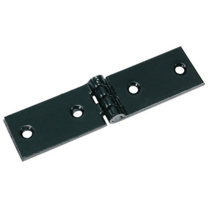 foto del prodotto cerniere ase pesanti cm.22x3 6 fori