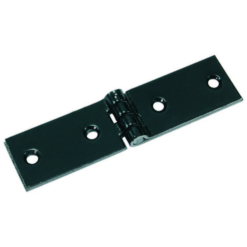 foto del prodotto cerniere ase pesanti cm.24x3 6 fori