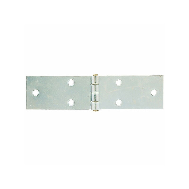 foto del prodotto cerniere lunghe con perno fisso art.122 mm.31x160x1,8