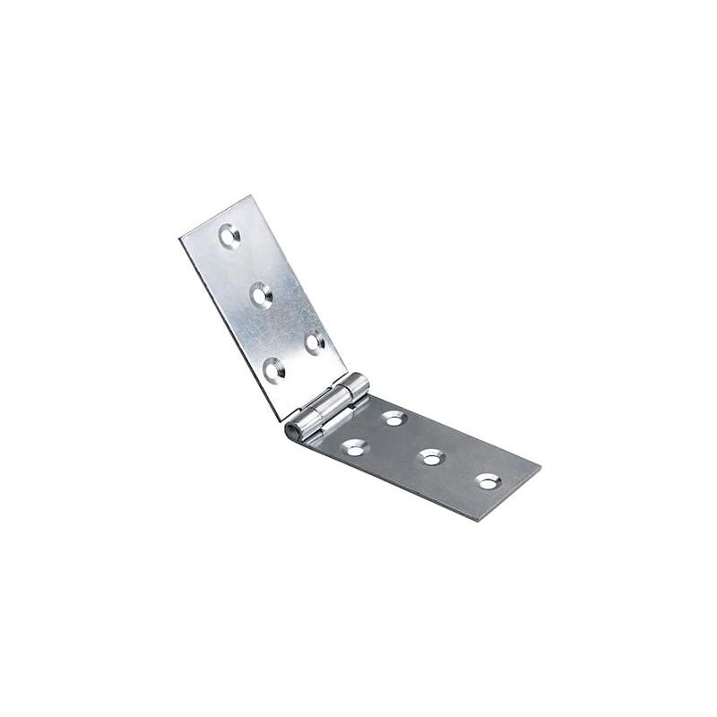 immagine 0 del prodotto cerniere lunghe p.fisso a.20 mm.30x140