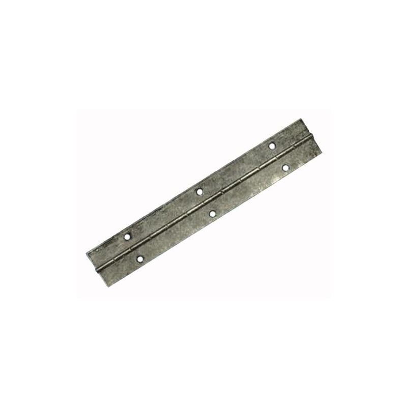 immagine 0 del prodotto cerniere met.bronzate 32x0,7 aste mt.2