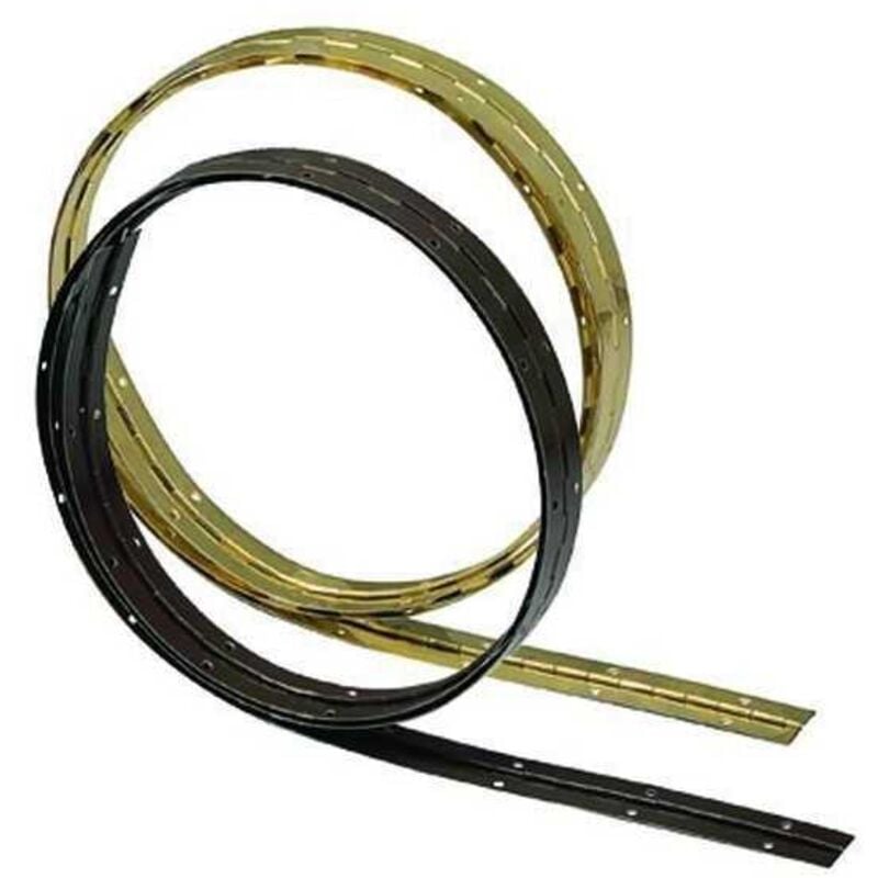 foto del prodotto cerniere met.ottonate 32x0,7-aste mt.2