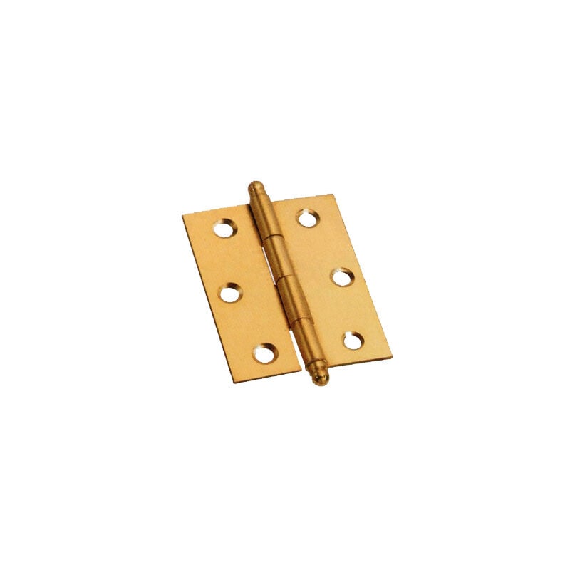 foto del prodotto cerniere ottone p.levab.art.349 mm.40x35