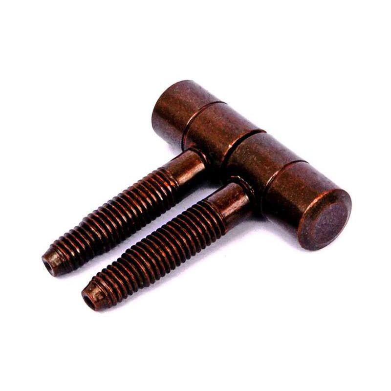 foto del prodotto cerniere per infissi anuba in ferro bronzato 2pz diam 11 mm