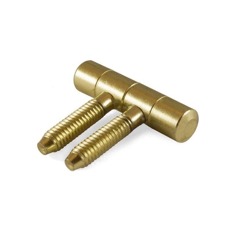 foto del prodotto cerniere per infissi anuba in ferro ottonato 14 mm. 2 pz.